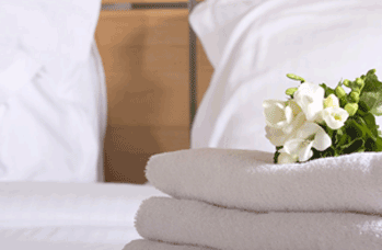 Executive Bed
